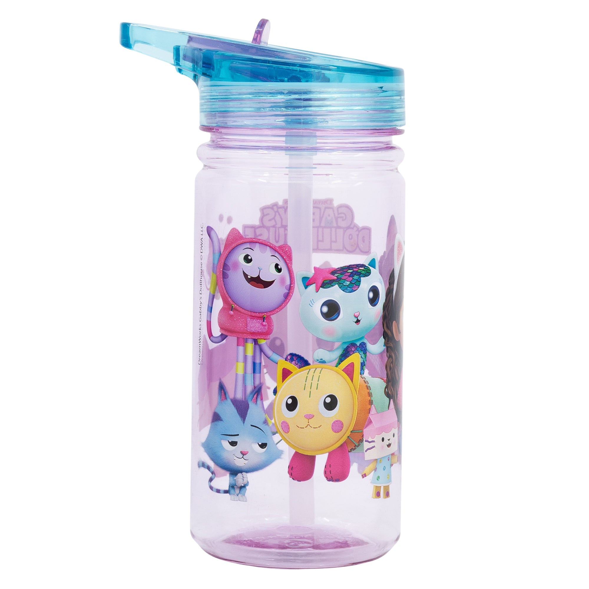 STOR SMALL ECOZEN BOTTLE 475 ML GABBY DOLLHOUSE