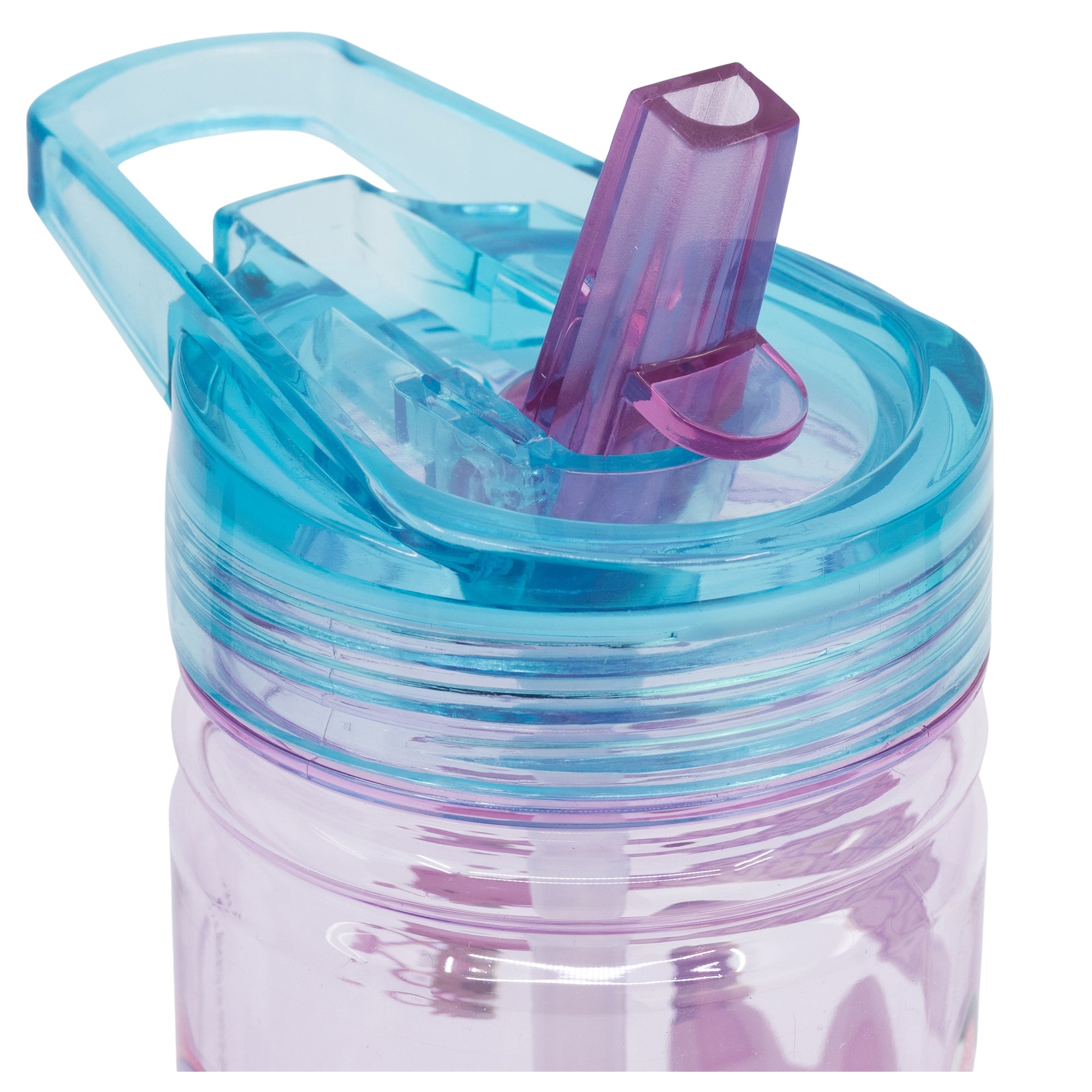 STOR SMALL ECOZEN BOTTLE 475 ML GABBY DOLLHOUSE