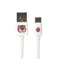 Cable Cargador Lotso Tipo C