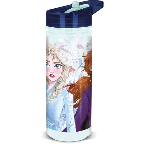 Stor Large Ecozen Bottle 580 ml Frozen